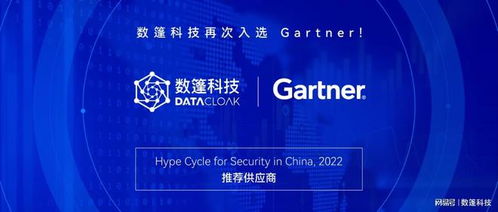 數篷科技入選Gartner報告零信任網絡訪問領域，引領網絡安全技術咨詢服務新篇章